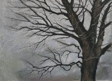 entry_607207_piece_2260533_M_shannon_Shreve