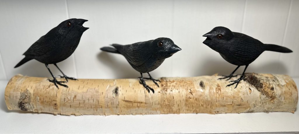 Andrew_Costa_Three Black Birds on White Birch.jpg