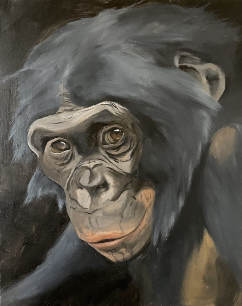 Jameen_Blizzard_Bonobo