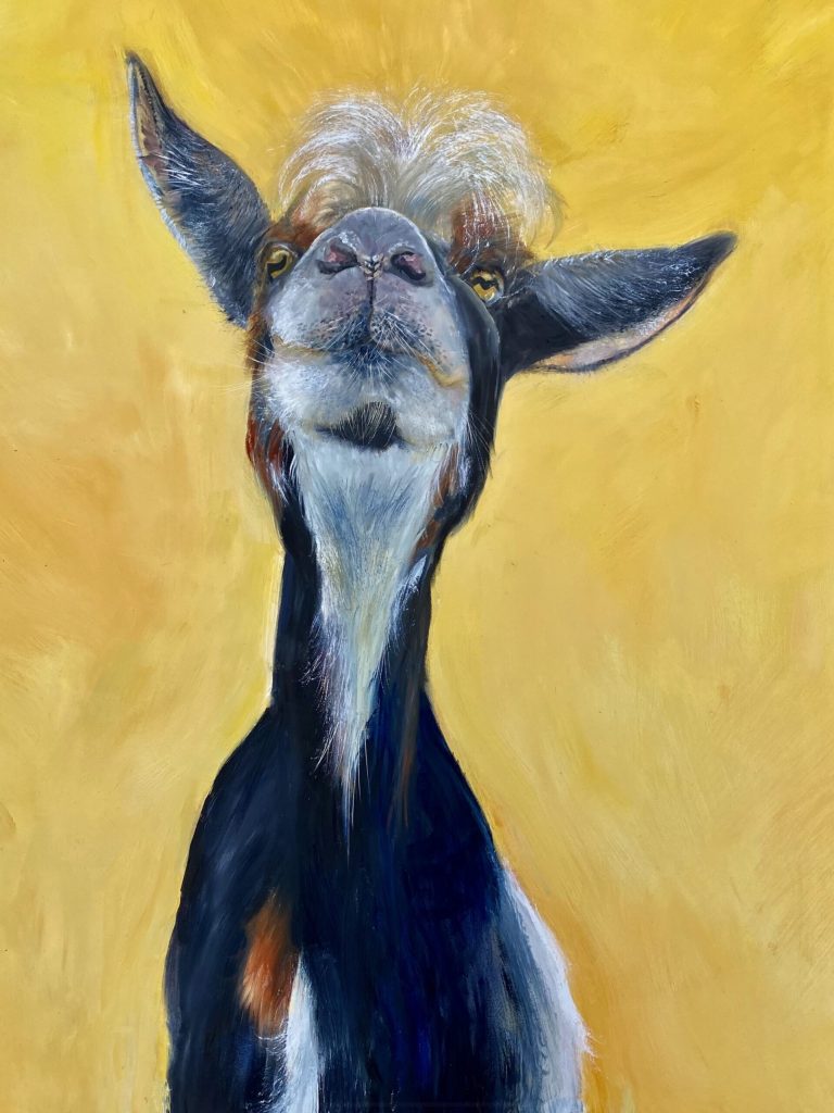 billyidolgoat_Pecora1
