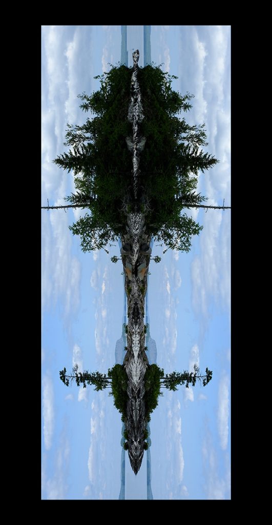 SMMirrorMooseheadIsland4x8BlackMatte