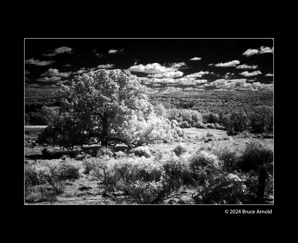 6x4_Chagnon_BW_DSIR5291
